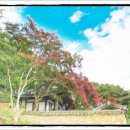 파산정(巴山亭) 이미지