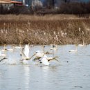 정양늪생명길 이미지