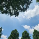 참숯한우천국 강서점 이미지