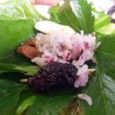 부안쌈밥 이미지