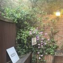 야곱축사 | [👰🏻‍♀️Wedding.8]드디어 본식 ...긴 여정의 끝 🤝🏻 🤍