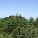 대성중학교 이미지