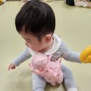 홈플러스(주)동수원점 이미지