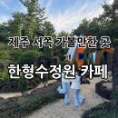 한형수정원 | [제주] 제주서쪽가볼만한곳 / 제주핑크뮬리명소 “한형수정원 테쉬폰카페” 후기👏🏻