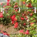 화계농장 이미지