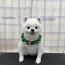 탱스땡스 이미지