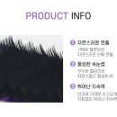 래쉬홀릭
