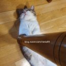 오수봉투