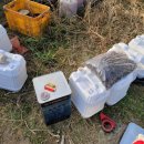 주정농장 이미지