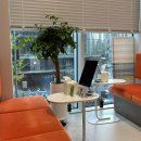 용피부과의원 이미지