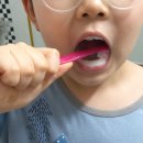 비오비유통 | [닥터비오비]스노우버디로 아이가 스스로 안전하고 편리하게 양치하고 가글해요~