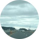 29주-30주 태교여행 1일차, 3월 제주 날씨, 제주미담, 테라로사커피 중문, 오는정김밥, 서귀포 올레시장...