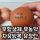 애향유정란