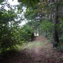 수용골1교 이미지