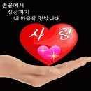 💕🌴4월7일 목요일 쥐띠방 출석부 💕🌴 이미지