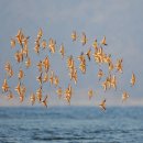 금강마리나(주) 이미지