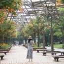 부천중앙공원 광장 이미지