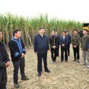 광시농장 이미지