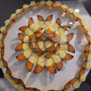 허브밸리(주차장 버스) | [남원 여행] 지리산허브밸리 완벽 가이드! 사계절 매력적인 실내외볼거리 총정리