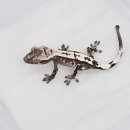 오늘도 여수 이미지