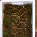 지바고한의원 이미지