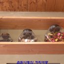 꼼빠뇽베이커리 이미지