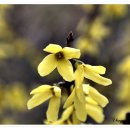 우정식당 이미지