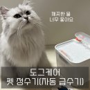 도그비잉펫케어 | 강아지, 고양이 자동 급수기 &lt;도그케어&gt; 펫 정수기 솔직 후기