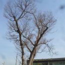 아라환경 이미지