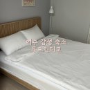 무드인디고 | 여수 감성숙소 가성비숙소 무드인디고 숙박 후기