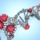 노니 필라테스 이미지