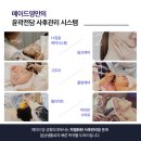 영메이드