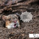 농부들의 카페장터 이미지
