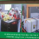 봉황마을 이미지