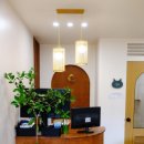 우다닥 고양이 호텔 이미지