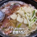 낙지뻘식당 | 시원한 국물과 쫄깃한 낙지의 조합 '원풍식당' 후기