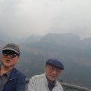 시조본가 Daum카페