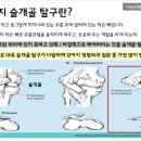 천안동물의료센터 24시 이미지