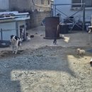 화흥 농장 이미지