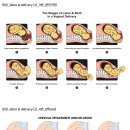주식회사 바른드림 | [드림널스 한국형 엔클렉스 문제은행] 사용해본 솔직 후기