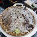 산오징어집