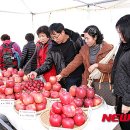 사과1번지