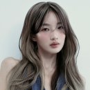 아리디자인 이미지