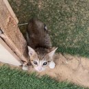 마카오 PC방 | 소원을 빌어요