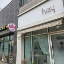 네일730 | 세종네일샵 보람동 헤이네일｜짧은 손톱 여름 자석 젤네일 추천
