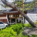 [대구 달성군 맛집] 일월정에서 독계탕으로 몸보신하고 온 후기