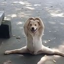 지리산에서의 하루 | 지리산 백무동코스 후기 🏞️