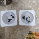 정식농장 이미지