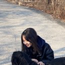 남산카센타 이미지