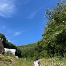 리틀파스타 옥천점 | 옥천 펜션 추천 커플 여행에 특별함을 더해준 숙소 후기